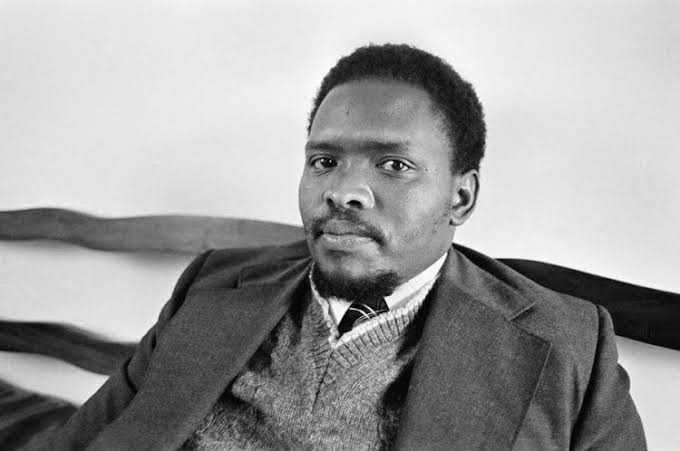 steve biko essay pdf