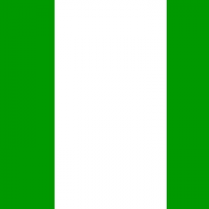 Group logo of South Africans in Nigeria