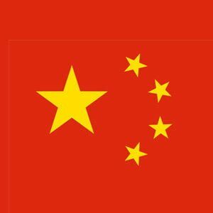 Group logo of South Africans in China